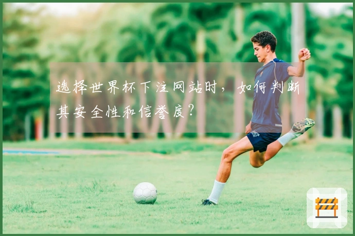 选择世界杯下注网站时，如何判断其安全性和信誉度？