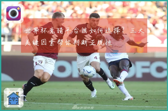 世界杯竞猜平台该如何选择？三大关键因素帮你判断正规性