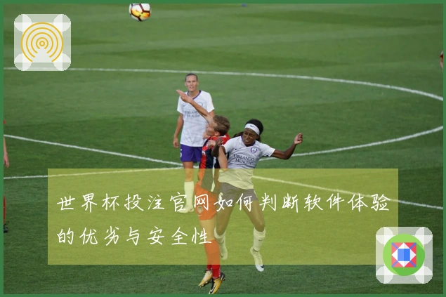 世界杯投注官网如何判断软件体验的优劣与安全性