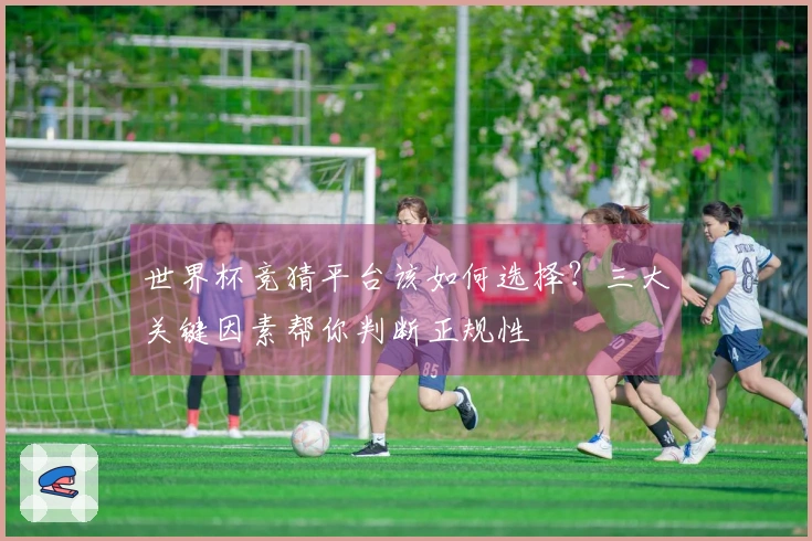 世界杯竞猜平台该如何选择？三大关键因素帮你判断正规性