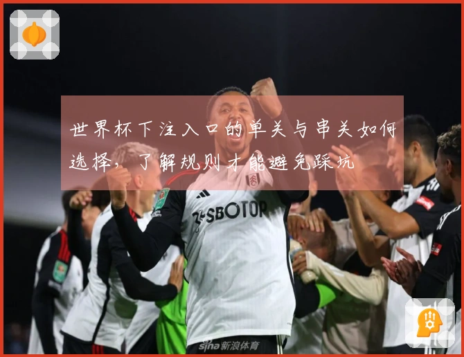 世界杯下注入口的单关与串关如何选择,了解规则才能避免踩坑