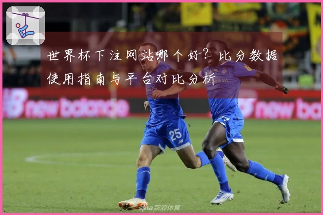 世界杯下注网站哪个好？比分数据使用指南与平台对比分析