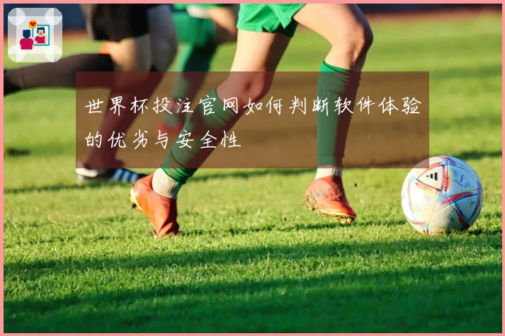 世界杯投注官网如何判断软件体验的优劣与安全性